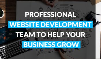 Professional Website Development Team